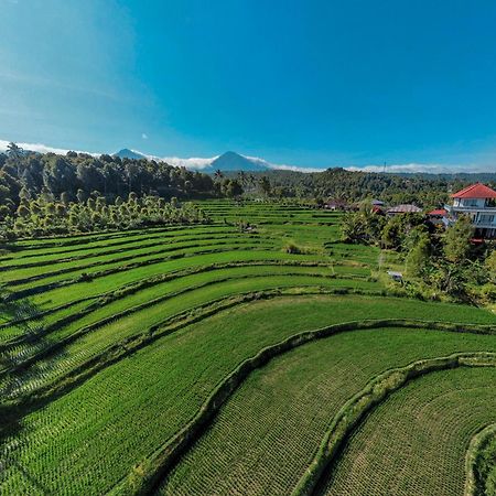 Candra Cottage Munduk Exterior foto